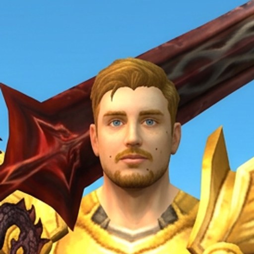 human paladin portrait, a Discord avatar